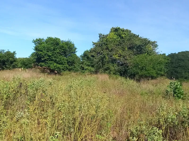 Fazenda em Jaíba/Minas Gerais — Ref 18I3GA — Imagem 6