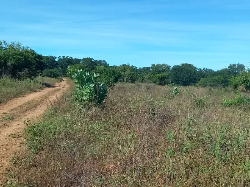Fazenda em Jaíba/Minas Gerais — Ref 18I3GA — Imagem 7