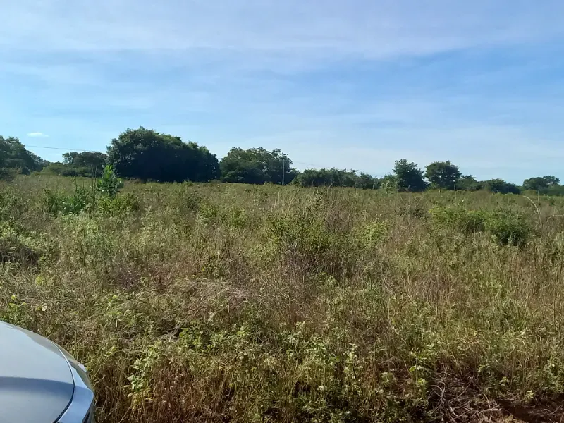 Fazenda em Jaíba/Minas Gerais — Ref 18I3GA — Imagem 8