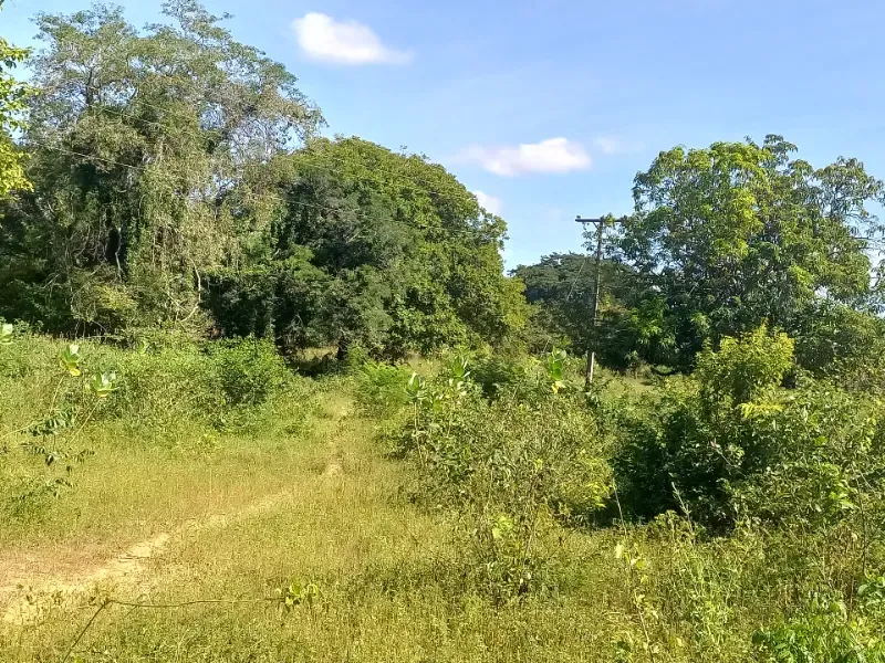 Fazenda em Jaíba/Minas Gerais — Ref 18I3GA — Imagem 16
