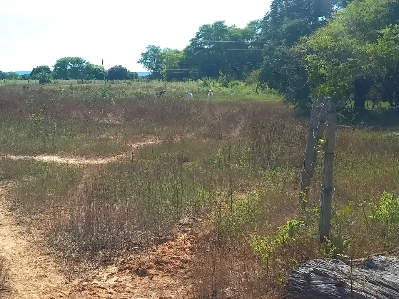 Fazenda em Jaíba/Minas Gerais — Ref 18I3GA — Imagem 17