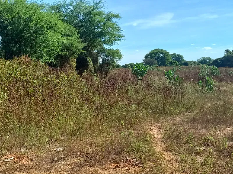 Fazenda em Jaíba/Minas Gerais — Ref 18I3GA — Imagem 18