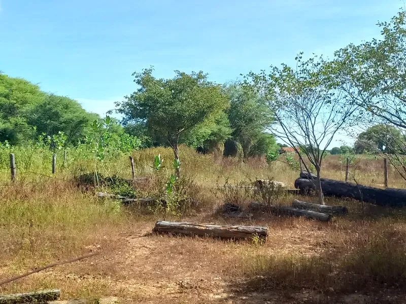 Fazenda em Jaíba/Minas Gerais — Ref 18I3GA — Imagem 19
