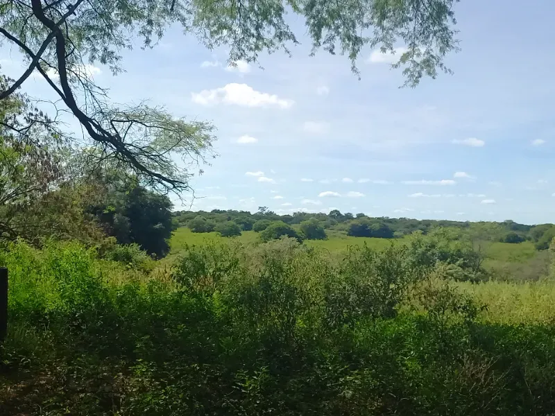 Fazenda em Jaíba/Minas Gerais — Ref 18I3GA — Imagem 20