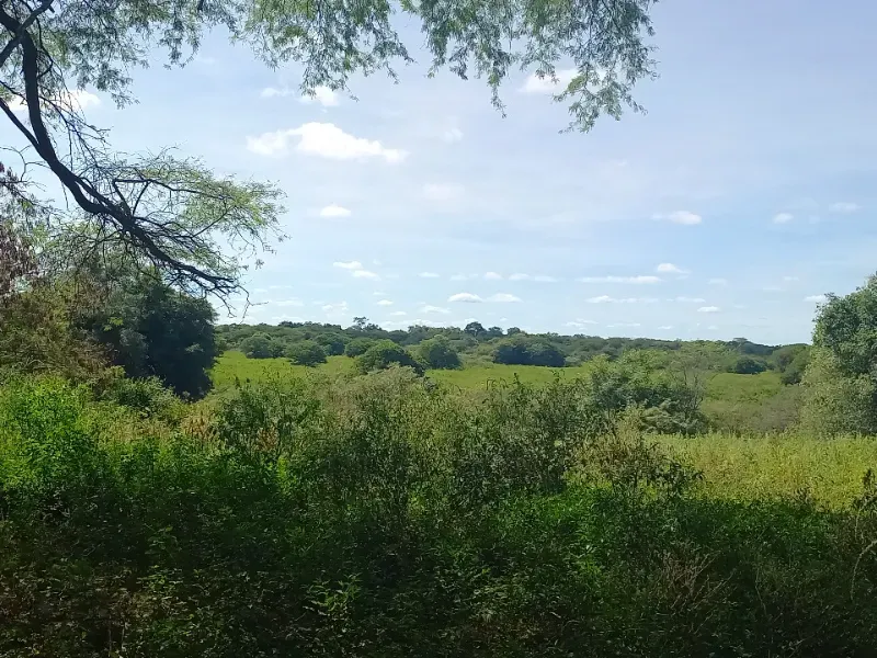 Fazenda em Jaíba/Minas Gerais — Ref 18I3GA — Imagem 21