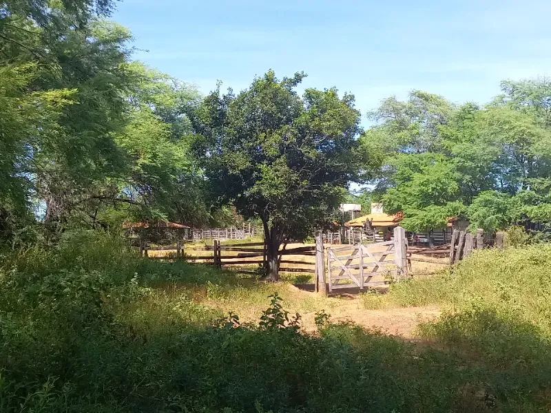 Fazenda em Jaíba/Minas Gerais — Ref 18I3GA — Imagem 15