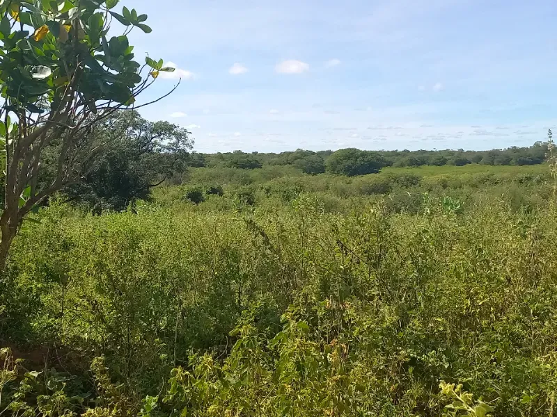 Fazenda em Jaíba/Minas Gerais — Ref 18I3GA — Imagem 22