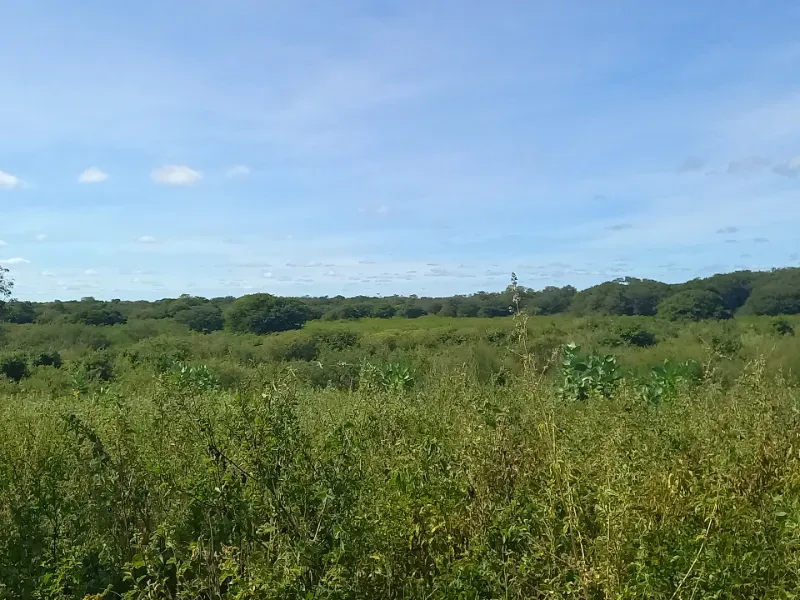 Fazenda em Jaíba/Minas Gerais — Ref 18I3GA — Imagem 23