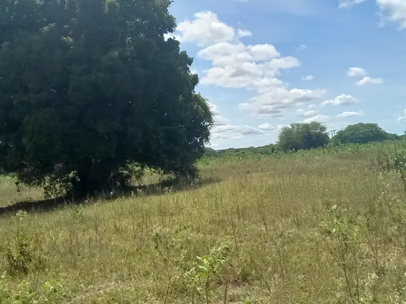 Fazenda em Jaíba/Minas Gerais — Ref 18I3GA — Imagem 4