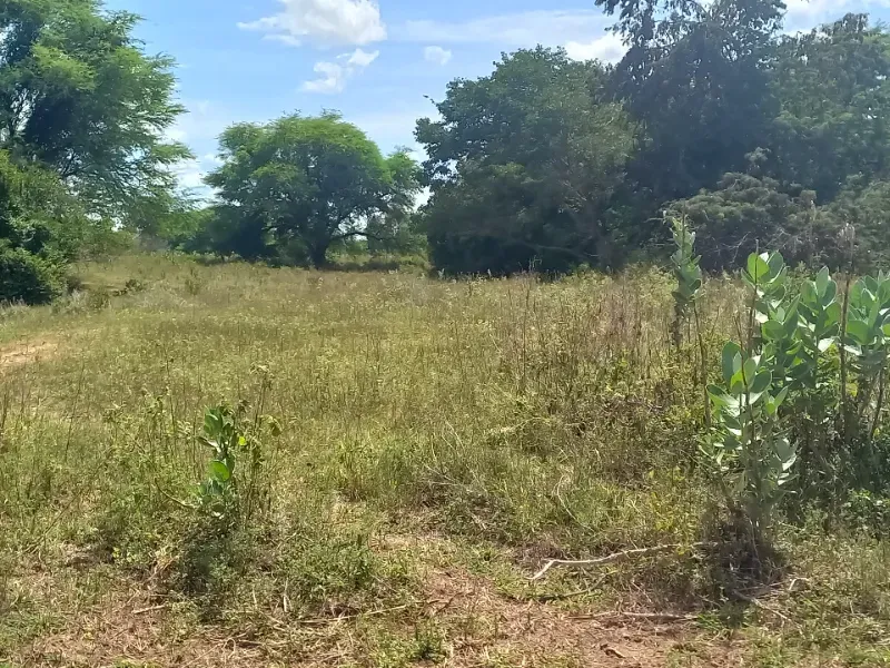 Fazenda em Jaíba/Minas Gerais — Ref 18I3GA — Imagem 3