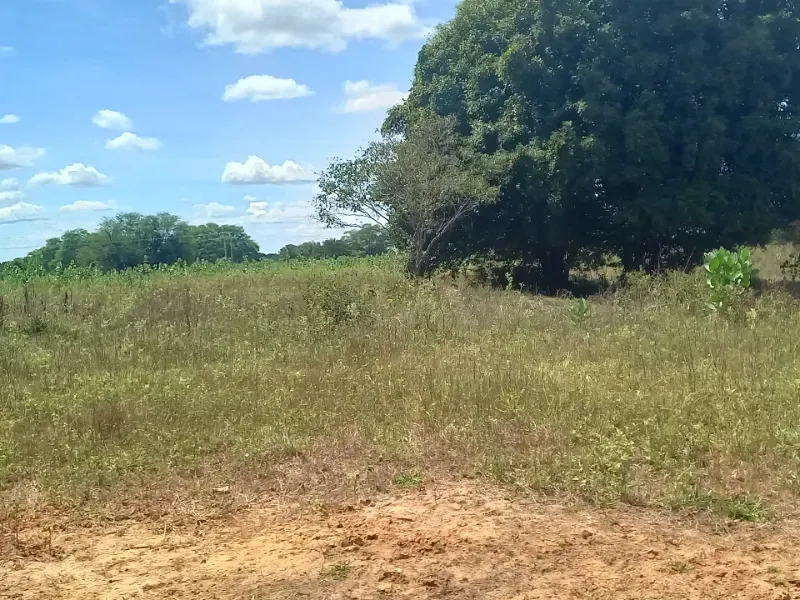 Fazenda em Jaíba/Minas Gerais — Ref 18I3GA — Imagem 2