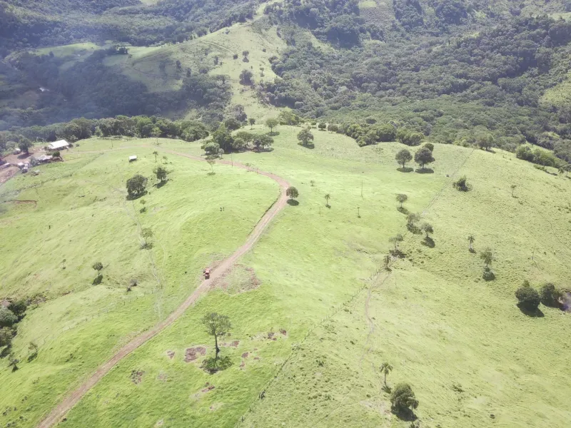 Fazenda em Pitanga/Paraná — Ref 44TKLU — Imagem 3