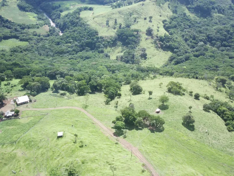 Fazenda em Pitanga/Paraná — Ref 44TKLU — Imagem 2