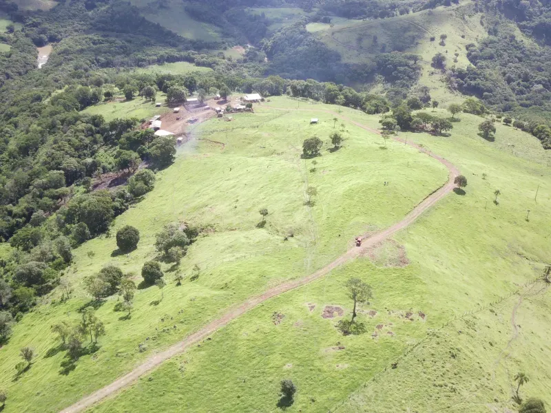 Fazenda em Pitanga/Paraná — Ref 44TKLU — Imagem 4