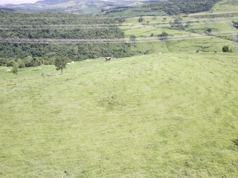 Fazenda em Pitanga/Paraná — Ref 44TKLU — Imagem 5
