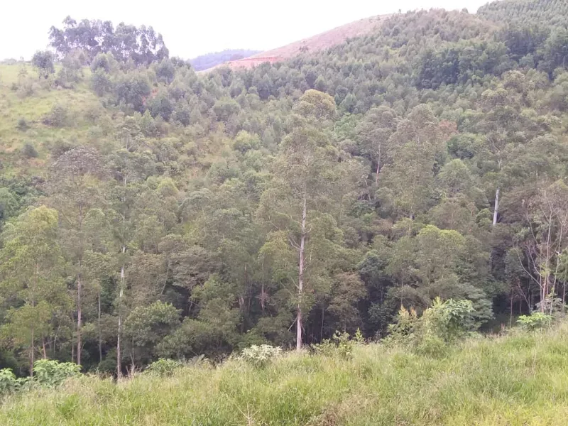 Chácara em Nazaré Paulista/São Paulo — Ref J88A6Y — Imagem 7
