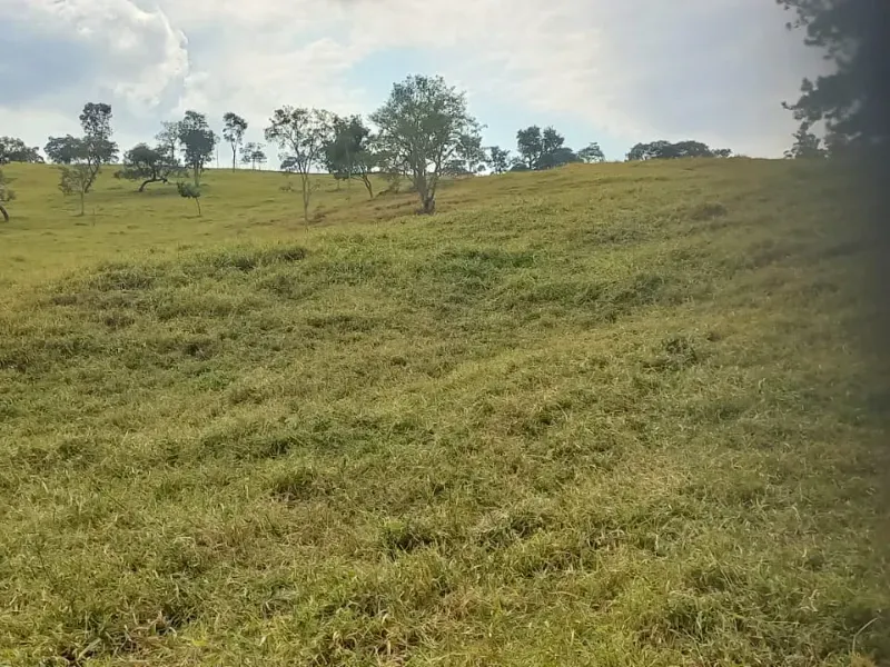 Fazenda em Oliveira/Minas Gerais — Ref B67KTC — Imagem 3