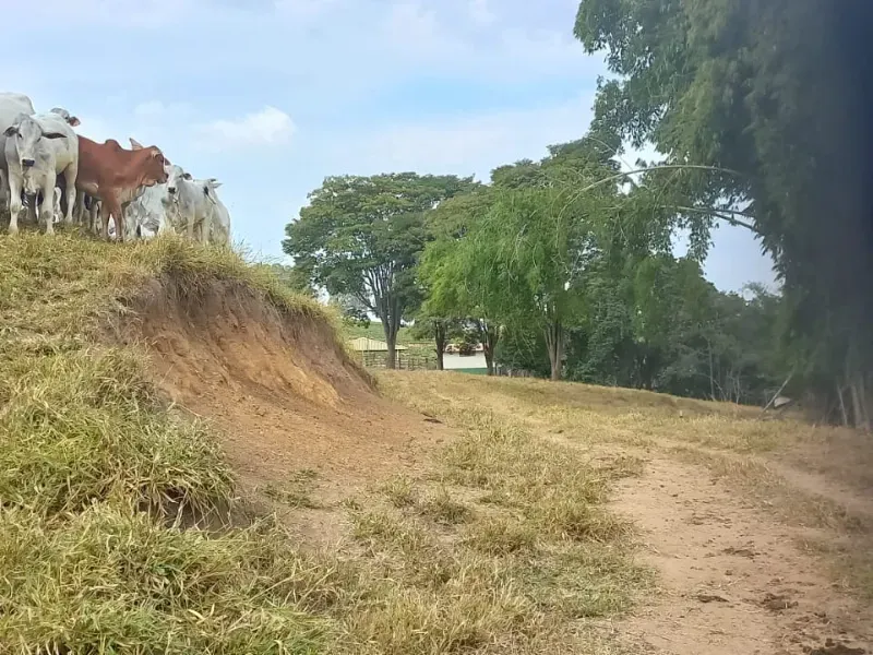 Fazenda em Oliveira/Minas Gerais — Ref B67KTC — Imagem 17