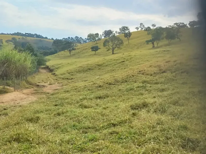 Fazenda em Oliveira/Minas Gerais — Ref B67KTC — Imagem 19