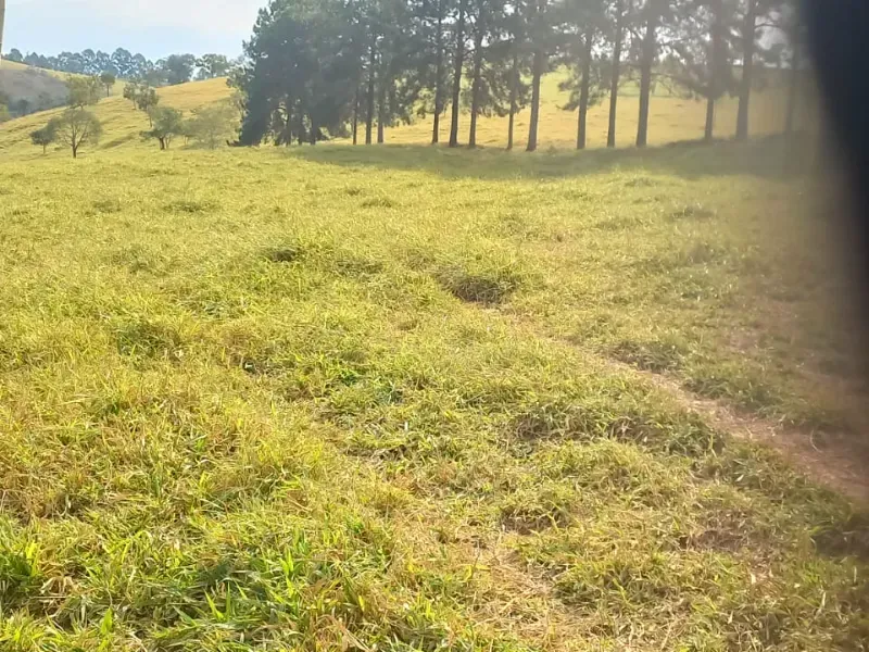 Fazenda em Oliveira/Minas Gerais — Ref B67KTC — Imagem 4