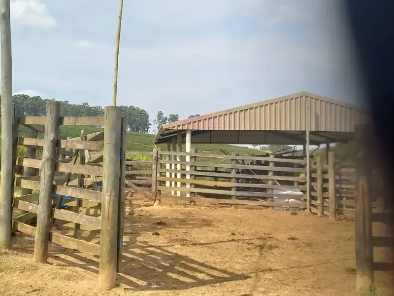 Fazenda em Oliveira/Minas Gerais — Ref B67KTC — Imagem 15