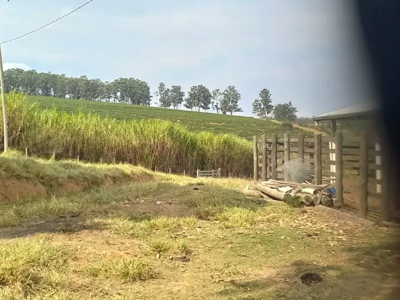 Fazenda em Oliveira/Minas Gerais — Ref B67KTC — Imagem 5