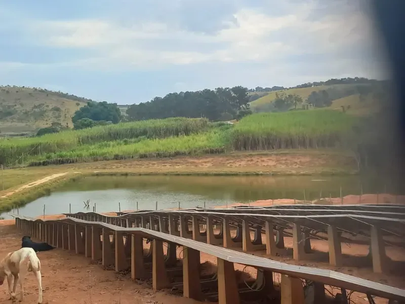 Fazenda em Oliveira/Minas Gerais — Ref B67KTC — Imagem 6