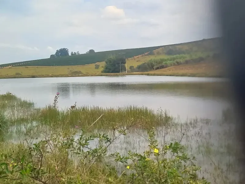 Fazenda em Oliveira/Minas Gerais — Ref B67KTC — Imagem 12