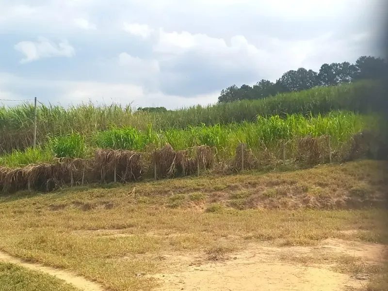 Fazenda em Oliveira/Minas Gerais — Ref B67KTC — Imagem 22