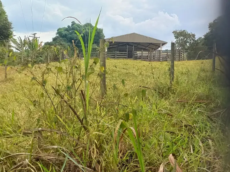 Fazenda em Oliveira/Minas Gerais — Ref B67KTC — Imagem 18