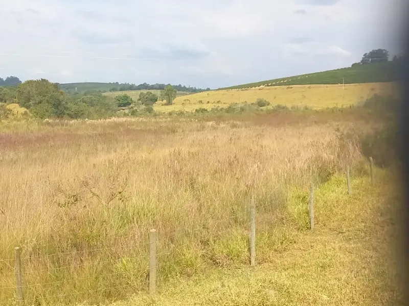 Fazenda em Oliveira/Minas Gerais — Ref B67KTC — Imagem 23