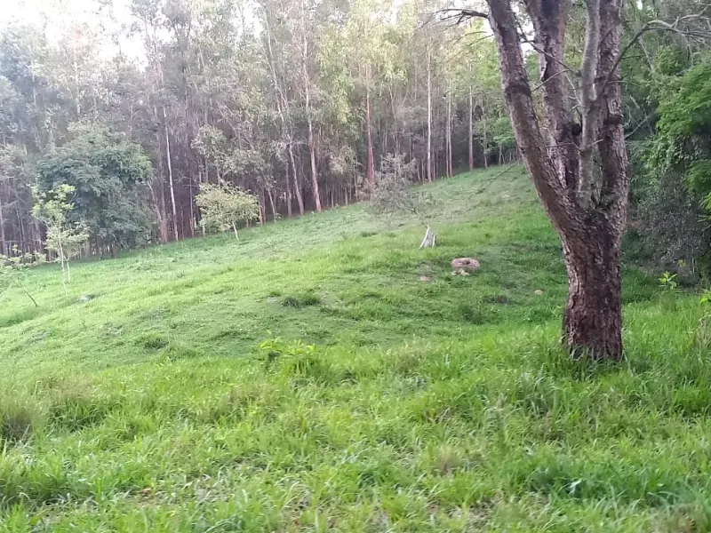 Fazenda em Mateus Leme/Minas Gerais — Ref PKRDR2 — Imagem 4