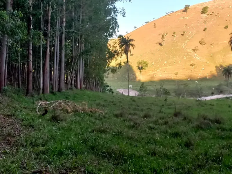 Fazenda em Mateus Leme/Minas Gerais — Ref PKRDR2 — Imagem 17