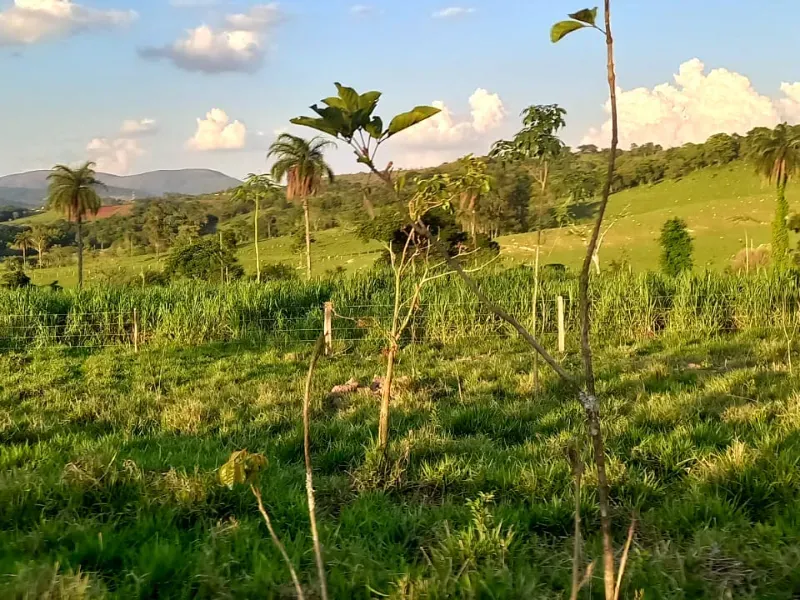 Fazenda em Mateus Leme/Minas Gerais — Ref PKRDR2 — Imagem 20