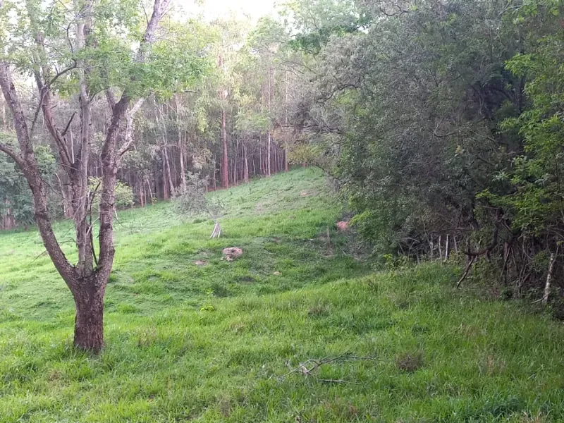 Fazenda em Mateus Leme/Minas Gerais — Ref PKRDR2 — Imagem 5