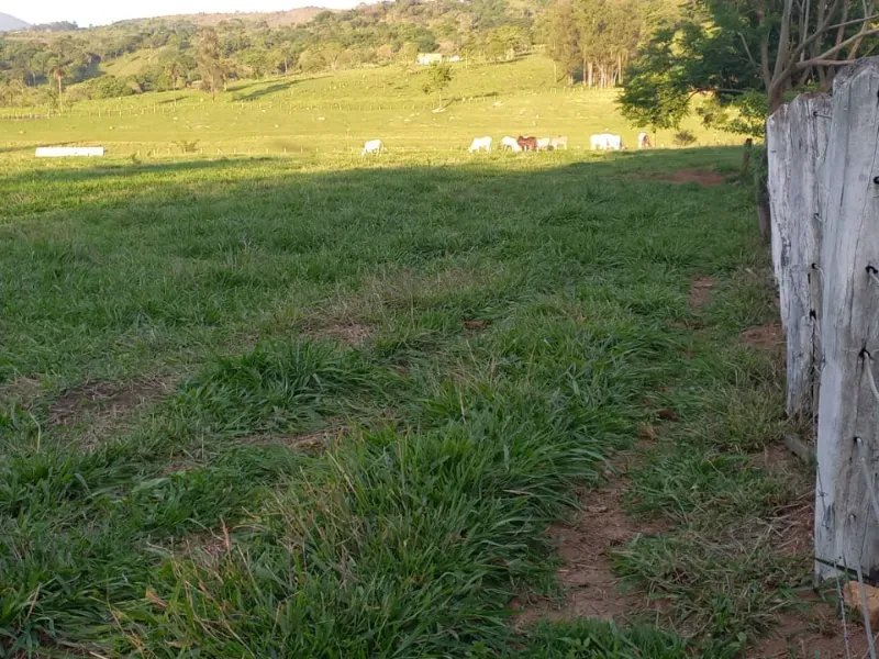 Fazenda em Mateus Leme/Minas Gerais — Ref PKRDR2 — Imagem 3
