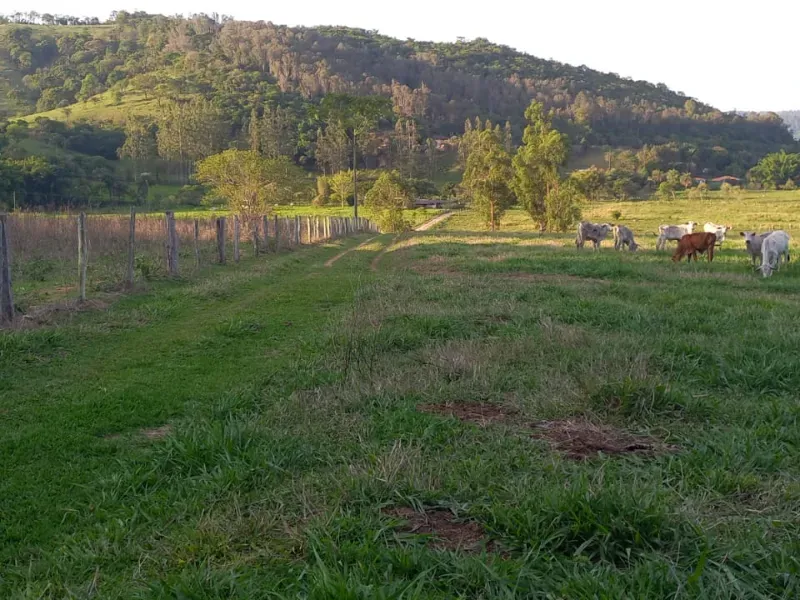 Fazenda em Mateus Leme/Minas Gerais — Ref PKRDR2 — Imagem 24