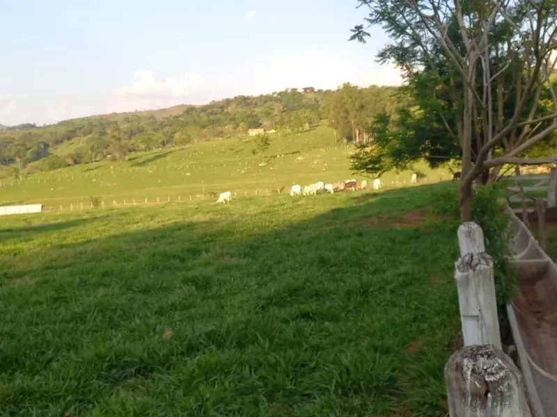 Fazenda em Mateus Leme/Minas Gerais — Ref PKRDR2 — Imagem 25