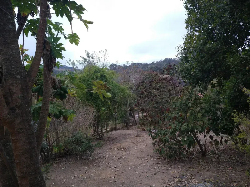 Fazenda em Oliveira/Minas Gerais — Ref Y70EIW — Imagem 20