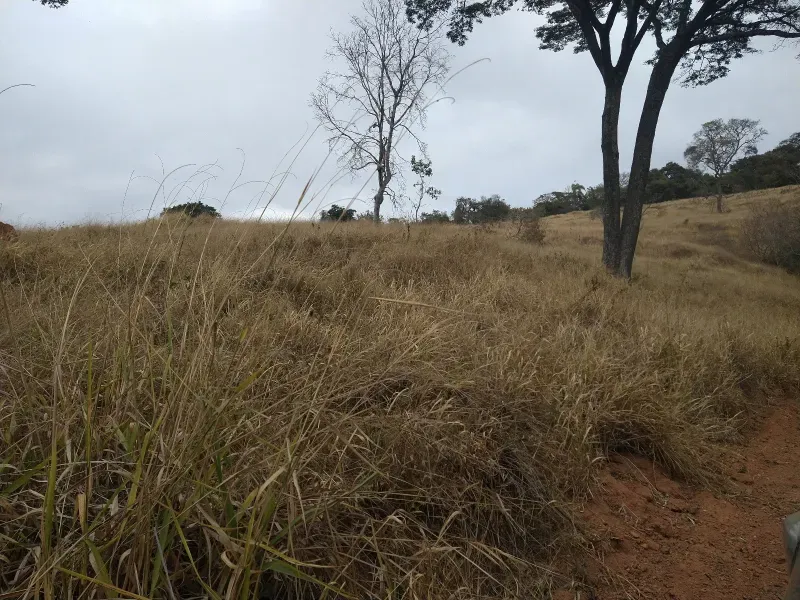 Fazenda em Oliveira/Minas Gerais — Ref Y70EIW — Imagem 34