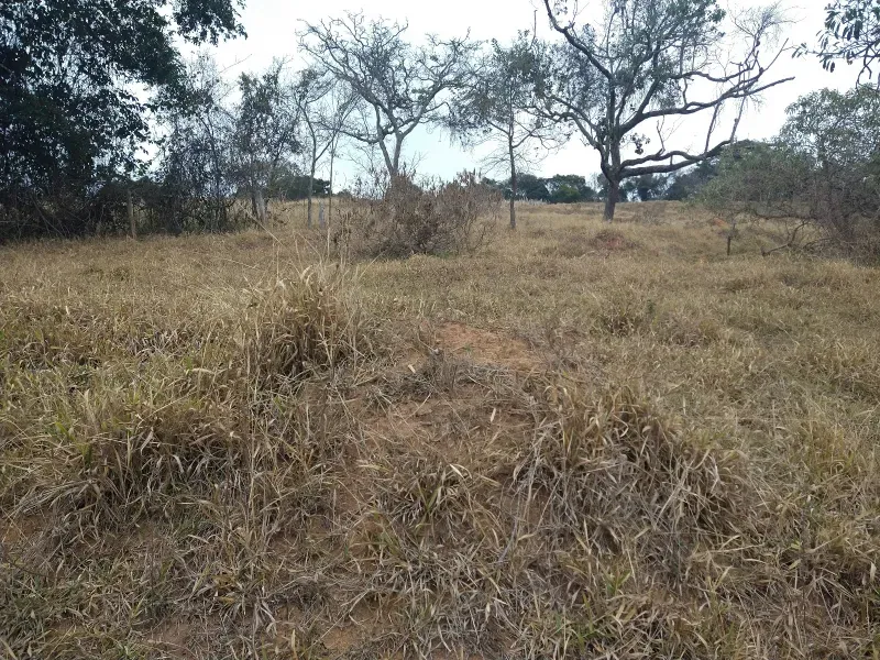 Fazenda em Oliveira/Minas Gerais — Ref Y70EIW — Imagem 35