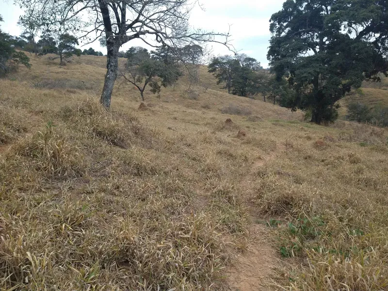 Fazenda em Oliveira/Minas Gerais — Ref Y70EIW — Imagem 36