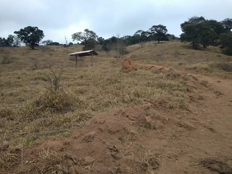 Fazenda em Oliveira/Minas Gerais — Ref Y70EIW — Imagem 39