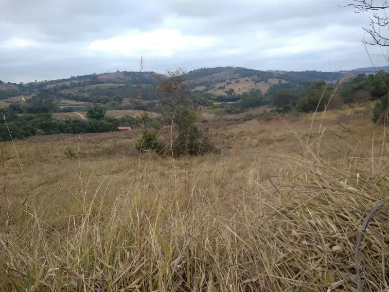 Fazenda em Oliveira/Minas Gerais — Ref Y70EIW — Imagem 42
