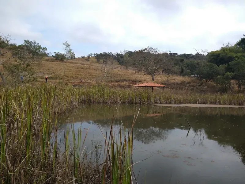 Fazenda em Oliveira/Minas Gerais — Ref Y70EIW — Imagem 4