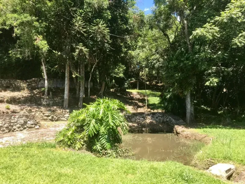 Chácara em Mairiporã/São Paulo — Ref ZBMFFF — Imagem 10