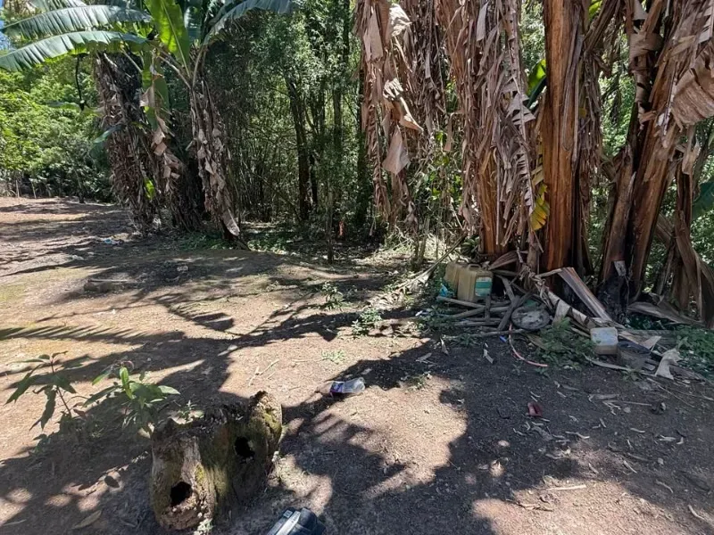 Chácara em Nazaré Paulista/São Paulo — Ref QAIC0C — Imagem 10