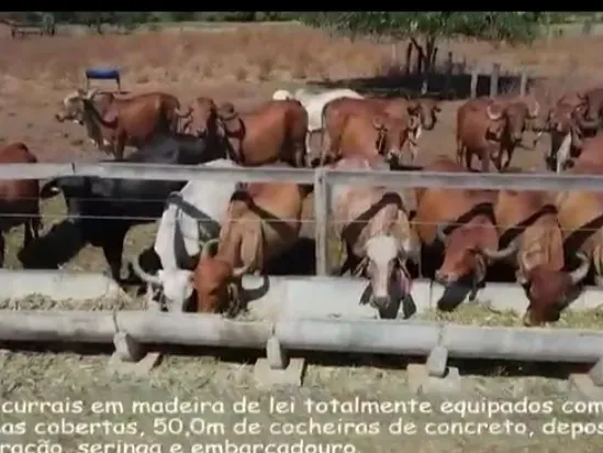 Fazenda em Manga/Minas Gerais — Ref PQ2XUB — Imagem 13