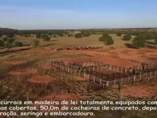 Fazenda em Manga/Minas Gerais — Ref PQ2XUB — Imagem 10