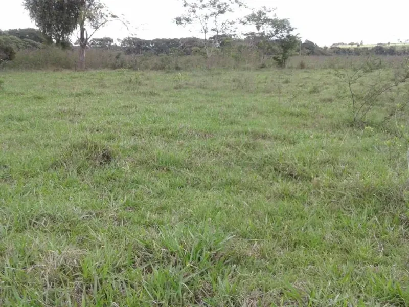 Fazenda em Manga/Minas Gerais — Ref PQ2XUB — Imagem 3